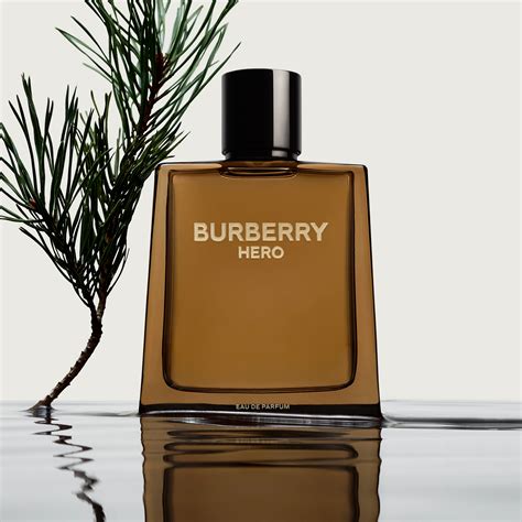 men perfume burberry|Burberry perfume original for men.